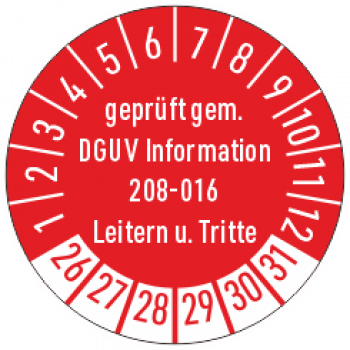 Leiterpruefung DGUV 208-016
