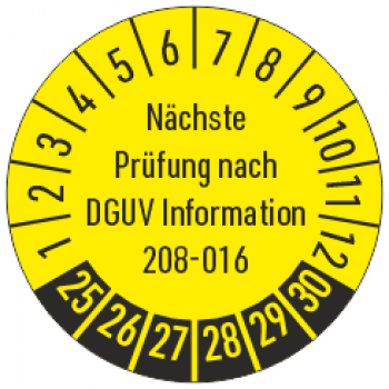 Leiterprüfung DGUV Information 208-016