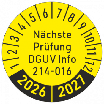 Containerprüfung DGUV Info 214-016
