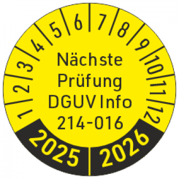 Containerprüfung DGUV Info 214-016