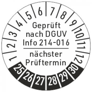 Prüfplakette DGUV Information 214-016, Containerprüfung