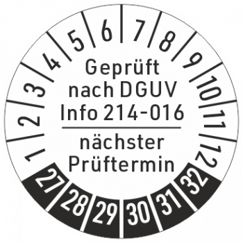 Prüfplakette DGUV Information 214-016, Containerprüfung